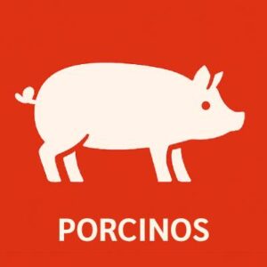 PORCICULTURA