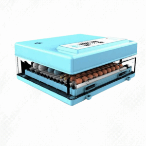 Incubadora automática para 70 huevos
